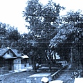 148a144cd709e5.jpg
