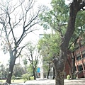 200910270453021256633582484.jpg