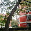 146135b60835d5.jpg