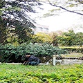 normal_8f1b04ed21724883e0b1eb20403537d4.jpg