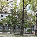 IMG_0017.JPG
