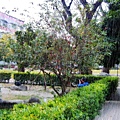 145e2a185f3ae0.jpg