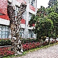 145e2a1a5ccbaa拷貝.jpg