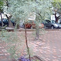 146135b61ace01.jpg