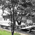 148a147236791d.jpg
