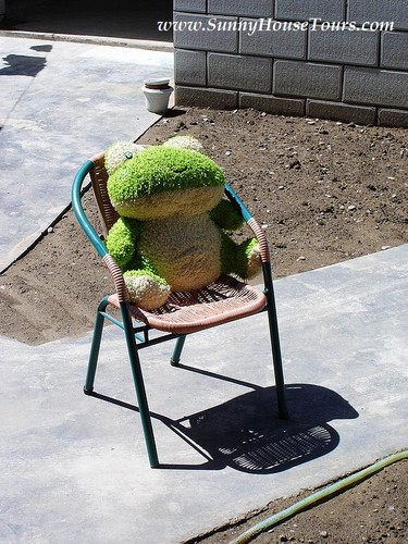 frog.jpg frog.jpg