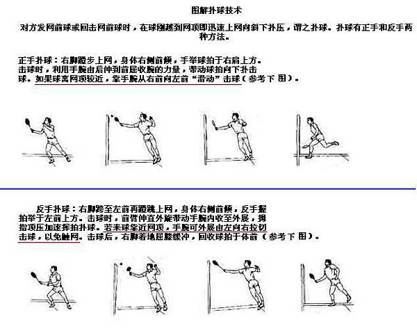 圖解-撲球技術