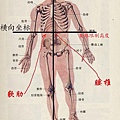 發球過腰說的是哪里？