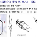 正反手握拍方式 - FLAX + 麥特 版