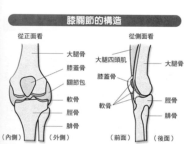 青壯年關節疼痛 運動傷害是主因