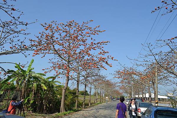 DSC_0707_調整大小