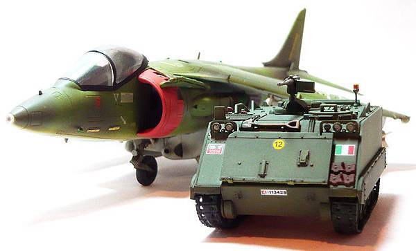 harrier6.jpg