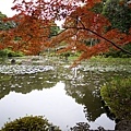 1110-平安神宮神苑2