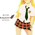 panty-desk-2.jpg