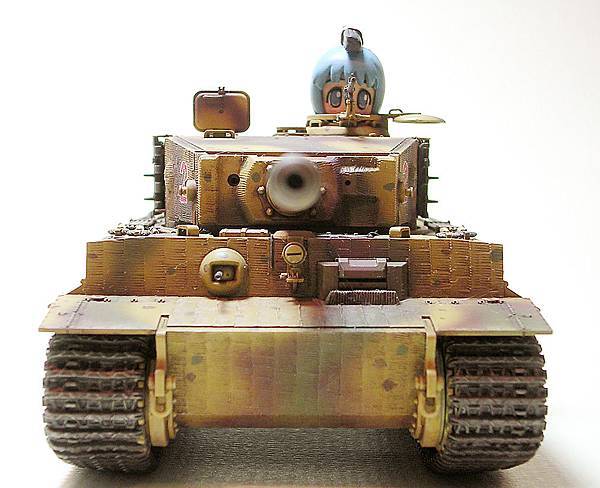 TIGER 1-8.jpg