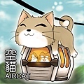 aircat-1-1.jpg