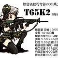 t65k2-4-1.jpg