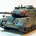 leopard1-1.jpg