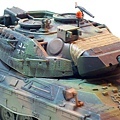 leopard1-3.jpg