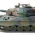 leopard1-4.jpg