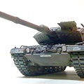 leopard2-4.jpg