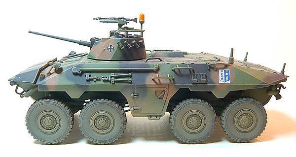 luchs-4.jpg