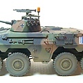 luchs-4.jpg
