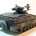 marder-2.jpg