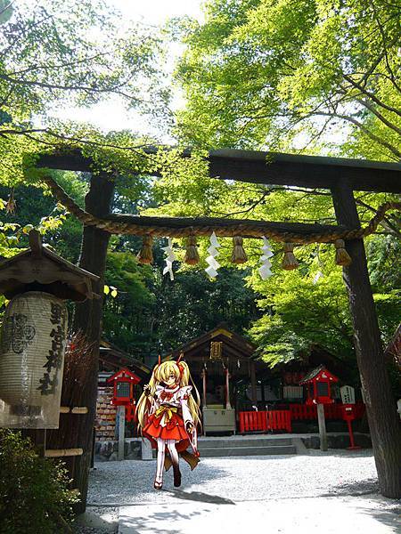 0908野宮神社鳥居.jpg