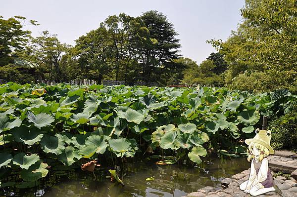 蓮池與諏訪子