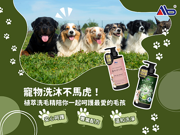 五月官方部落格1