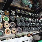DSC_6500 DSC_6500