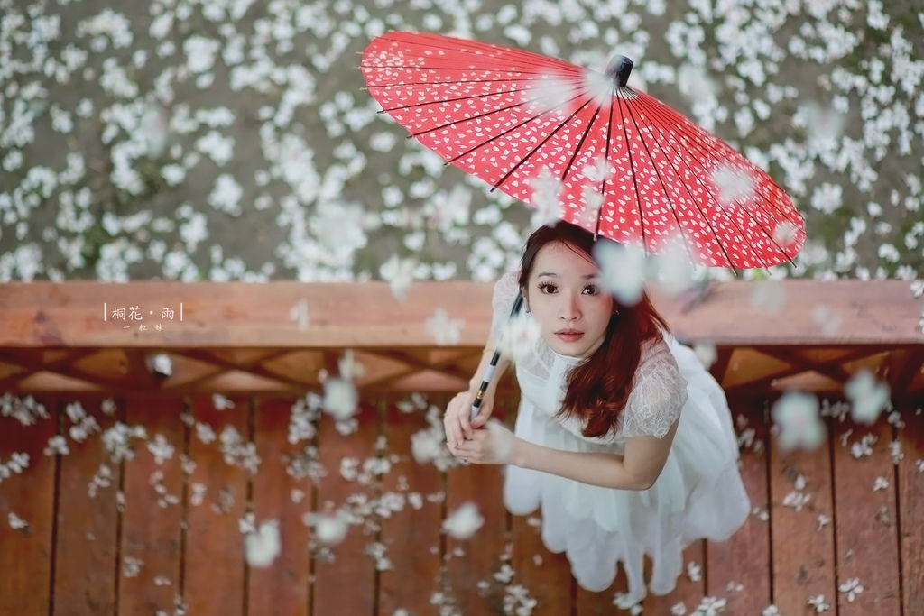 ZY0C0982.jpg ZY0C0982.jpg