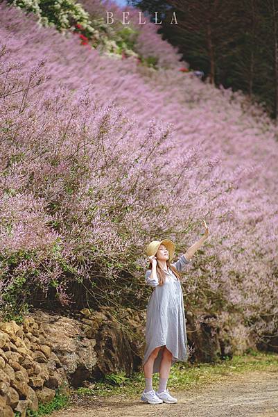 瑰密甜心玫瑰園(麝香木)2025