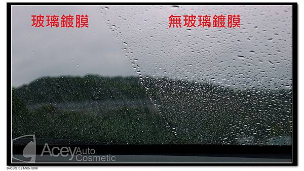 P1040074 P1040074