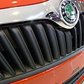 SKODA35.jpg