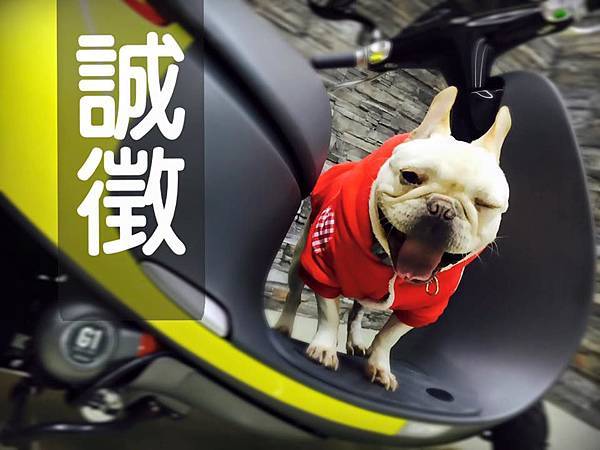 誠徵.jpg 亞色汽車美容誠徵夥伴.jpg