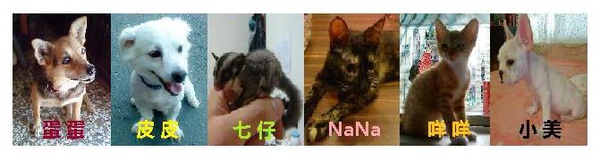 這是亞色的寶貝們