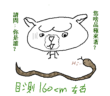 屋角，遇到蛇 (1)