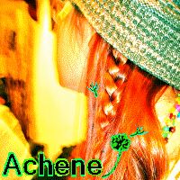 woeee01.gif