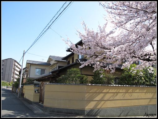 京都大學旁_哲學家之道