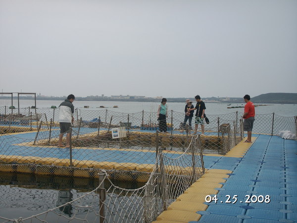 海洋牧場