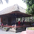 P1040428.JPG