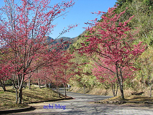 新中橫 二 塔塔加遊憩區 ㄚ啟的部落格 痞客邦