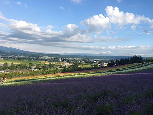 IMG_8818.JPG IMG_8818.JPG