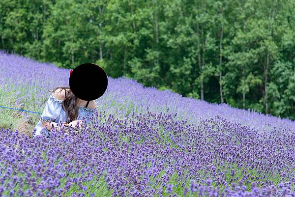 DSC_0035LR.jpg DSC_0035LR.jpg