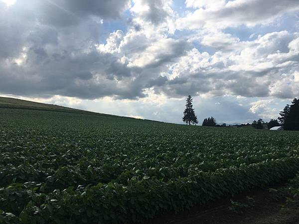 IMG_8783.JPG IMG_8783.JPG