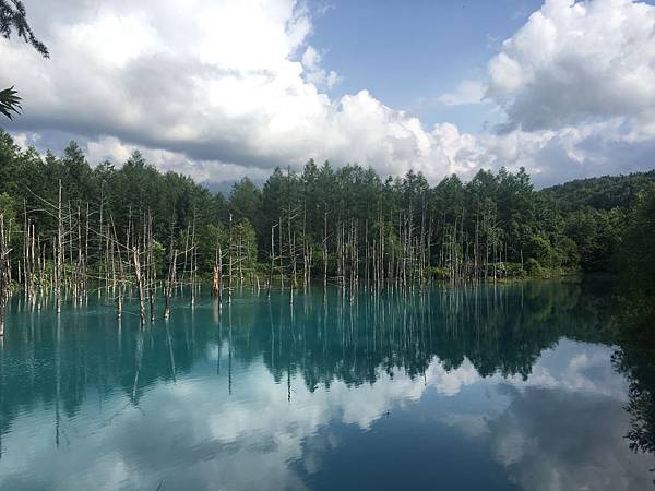 IMG_8732.JPG IMG_8732.JPG