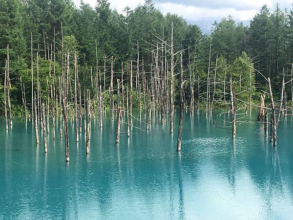 IMG_8734.JPG IMG_8734.JPG