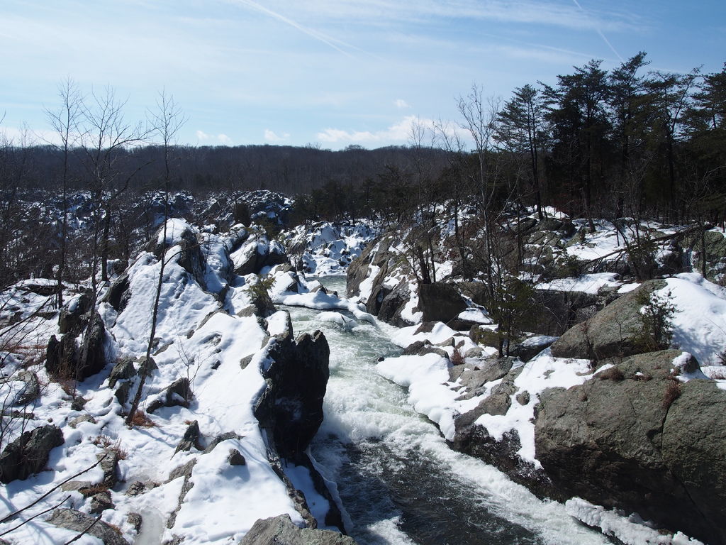 P3011001.JPG P3011001.JPG